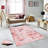 Stylish Woven Carpet, 5.6 x 7.5 Feet, 100% Polyester, 0.3 in Pile Height | Antibacterial, Non-Slip PVC Felt Dot Underside, Machine Washable | 3D Digital Printing, Durable & Easy to Maintain - Perfect for Any Room-723123666