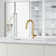 Hart 18" H 1-handle Pull-Down Kitchen Faucet