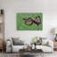 Coiled Red Viper Abstract Contemporary Snake Landscape Nature Wall Art Print 1 Piece Wrapped Canvas Wall Art-1120309178