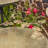 Emaliya Iron Birdbath