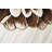 Vidrine Floral Indoor Rug-916375055