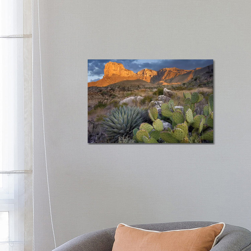 Opuntia Cactus and Agave Near El Capitan, Guadalupe Mountains National Park, Chihuahuan Desert, Texas 1 Piece Wrapped Canvas Wall Art
