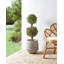 Faux Tree in Plastic / Acrylic Planter-1549880722