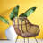Cupp Strelitzia Arrangement