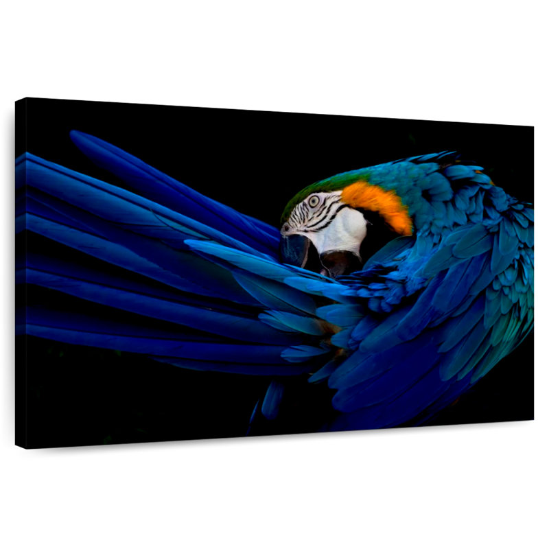 Majestic Macaw, 8" H x 12" W