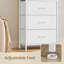 5 Drawer Storage Drawer-2081652723
