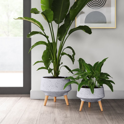 Annora Pot Planter