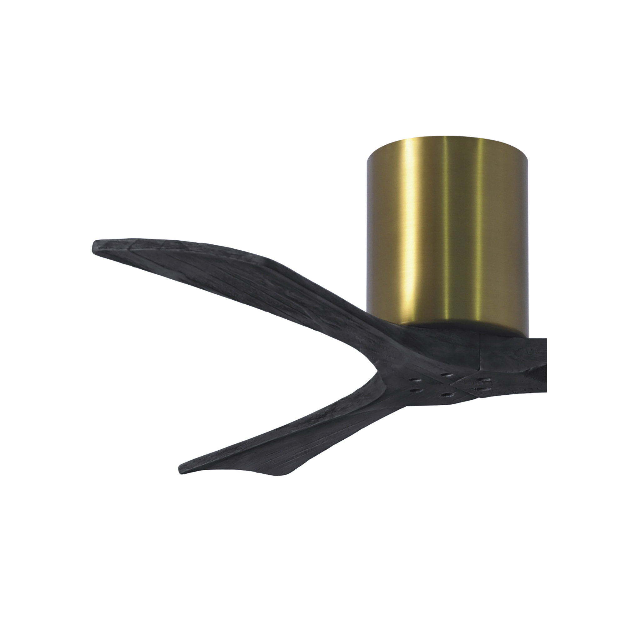 Olivier 3 Blade Ceiling Fan, Matte Black, 42", Brushed Brass