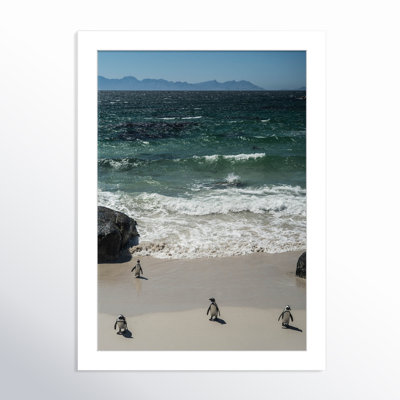 Perolio "Coming in to the Beach" Print