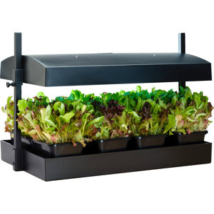 Kit de jardinage intérieur