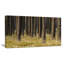 «Dark Fall Forest with Green Grass», reproduction de photo sur toile tendue-19240719