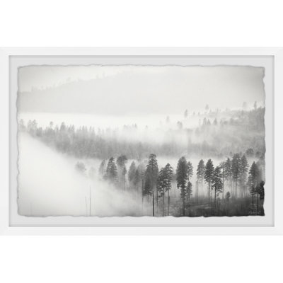 Foggy Scenery - Single Picture Frame Print
