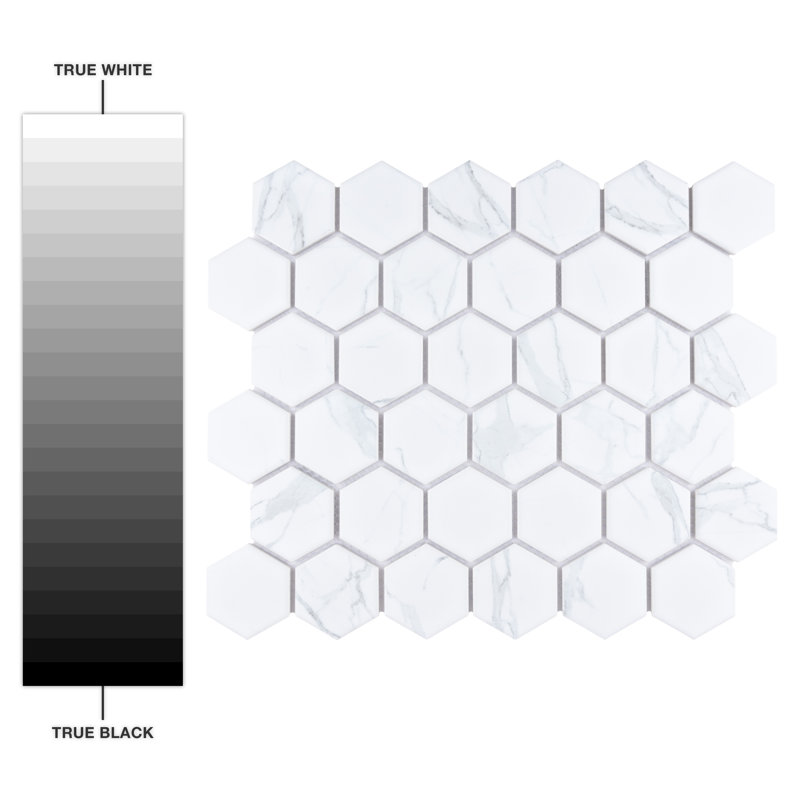 Carrione 2" Hex 11-1/8" x 12-5/8" Porcelain Mosaic Tile