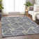 Premium Machine Washable Prisco Gray Rug