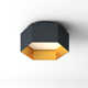 Allo Single Light Metal LED Flush Mount