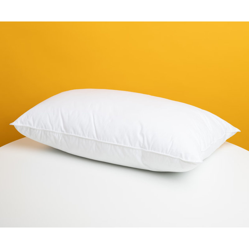 Ensemble de 2 coussins Rifz Bsc Collection, Grand oreiller: 20 po x 30 po