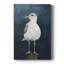 Night Gull II - galerie sur mesure-1553233232