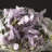 Amethyst Sculpture
