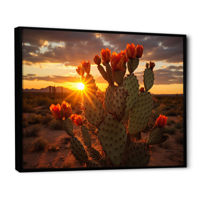 Champ de cactus rouge et vert avec coucher de soleil III - impression