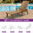 Alizay 78.7" Long Reclining Outdoor Chaise Lounge-1712614062