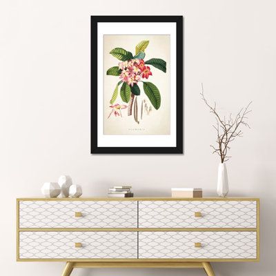 «Plumeria Botanical Print», impression sur toile