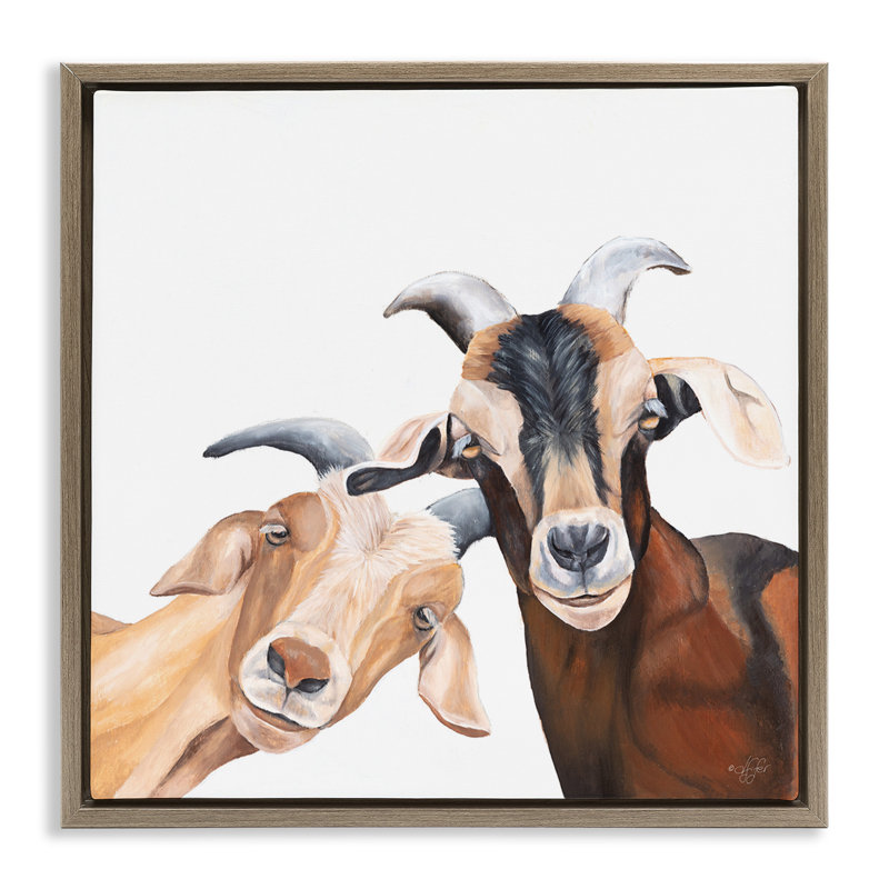 Chèvre heureuse, animaux souriants, H 18 po x l 18 po, Cadre flottant orme Montalcino