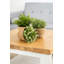 Walbourne Pot Planter-82297929