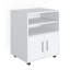 Kadeisha 60.2cm Wide Mobile File Cabinet