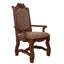 Chaise avec accoudoirs Aftonshire