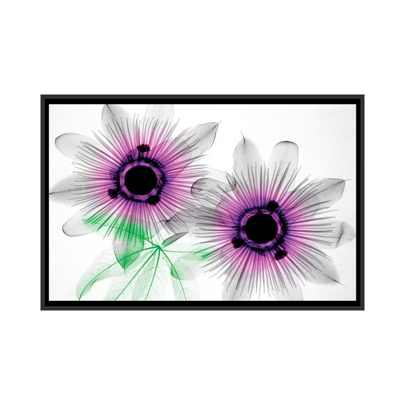 «Passion Flowers», impression sur toile, H 18 po x l 26 po x P 1,5 po, Toile avec cadre noir, Pas de tapis