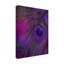 Art sur toile «bolus», Sasha, paon et bonbon iv-104118668