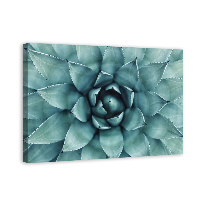 «Turquoise Succulent», reproduction de photo sur toile tendue, H 16 po x l 24 po x P 1 po
