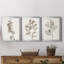 Neutral Botanical Study I - Ensemble de 3 impressions sur toile encadrées-1192051502-1192051503