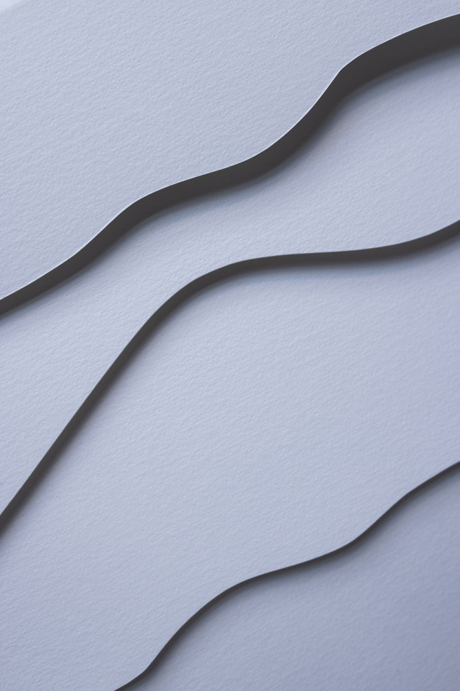 Ivy Bronx Paper Studies 27 | Wayfair.co.uk