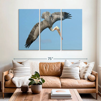 Pelican In The Air