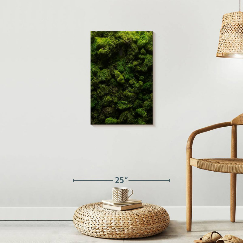 " Thick Moss " Print, 24" H x 16" W x 1.25" D