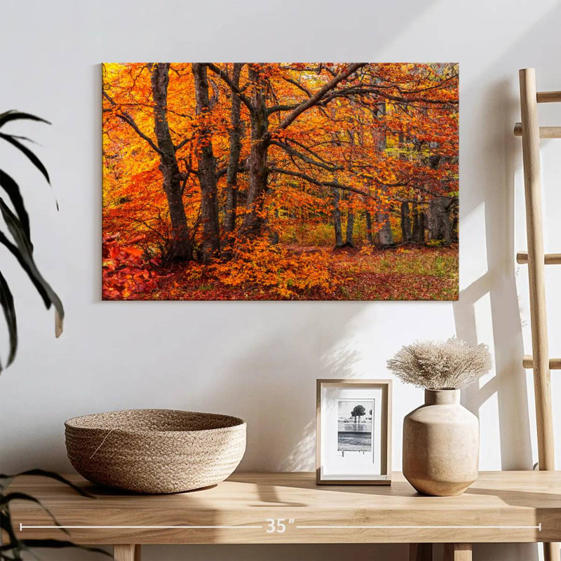 Les bois d'Alvord en automne, H 16 po x l 24 po