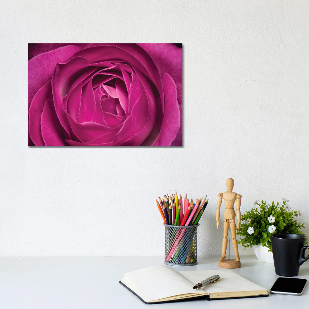 Rose by Glauco Meneghelli - Wrapped Canvas Photograph