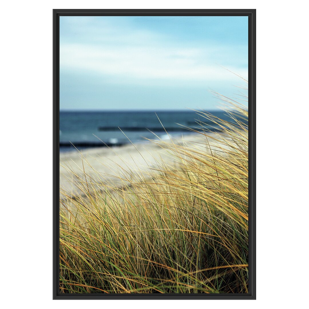 Gerahmtes Wandbild Sanddünen mit Schilfgras am Meer