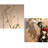 Creative retro wall decor
