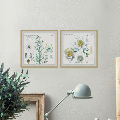" Plant Pair Diptych " 2 - Pieces