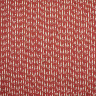 Scout Fabric