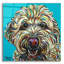 «Kaleidoscope Dog 4» par Carolee Vitaletti, art mural en verre acrylique-1585501886
