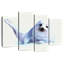 Phoque Brampt-108900644
