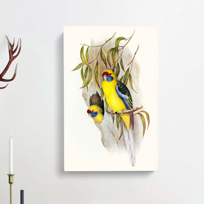 Yellow-Bellied Parakeets by Elizabeth Gould - Wrapped Canvas