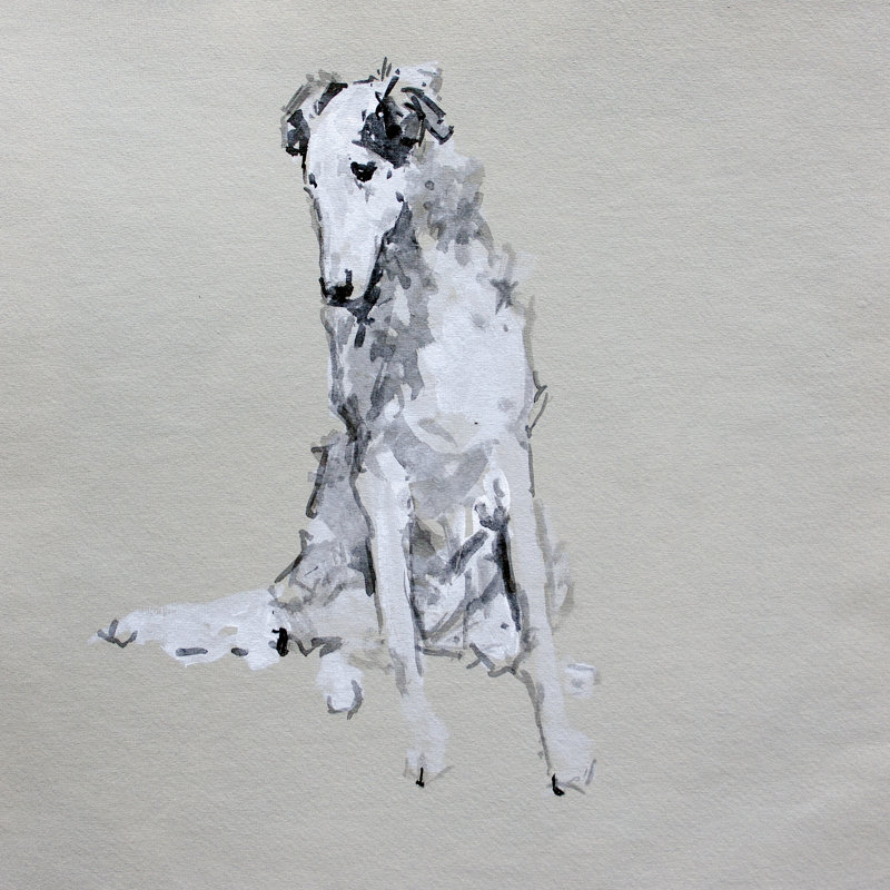 Pop Modern Dog VIII by A Very Modern Dog - Wrapped Canvas Painting, 51cm H x 51cm W