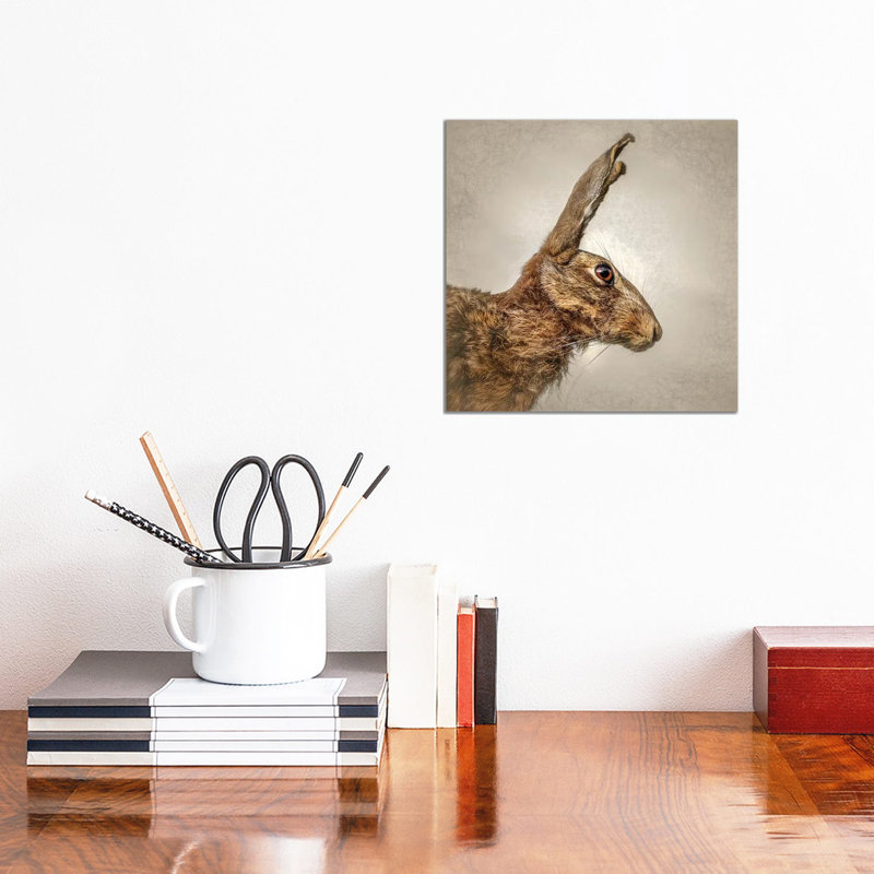 Hare 1 Piece Wrapped Canvas Wall Art, 30.48 cm H x 30.48 cm W