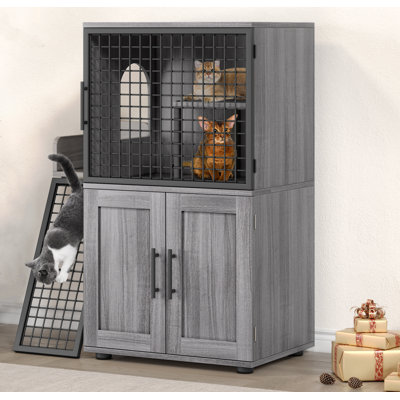 Compare Similar Items