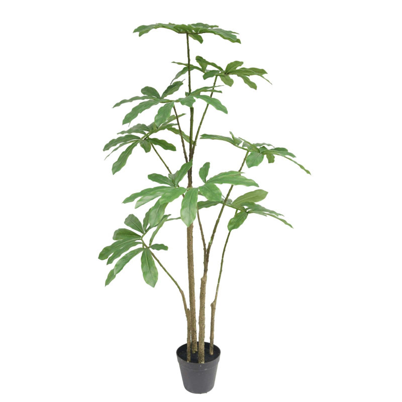 Andrya 120 cm H Faux Palm Tree Plant in Plastic Pot Liner