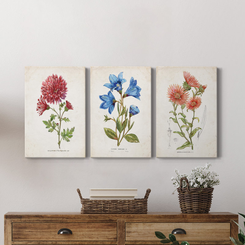 «Botanical I», ensemble de 3 reproductions sur toiles tendues, H 27 po x l 54 po x P 1 po
